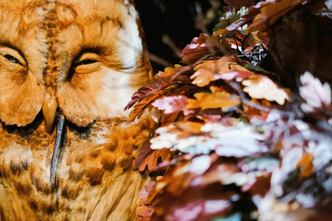 Lake District: World of Beatrix Potter Entry Ticket