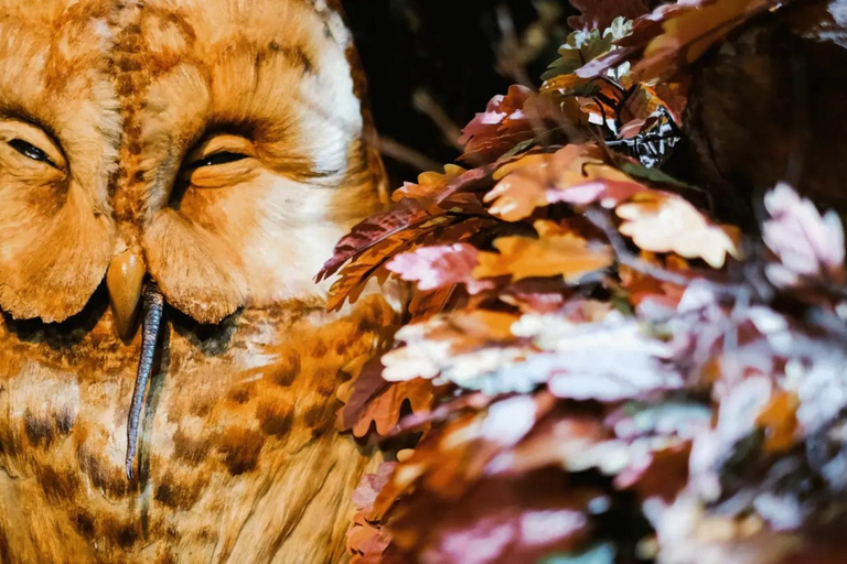 Lake District: World of Beatrix Potter Entry Ticket