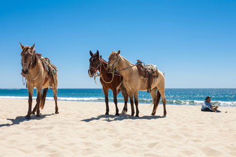 Mykonos: Coastal Morning Horseback Ride to the Beach Mykonos: Coastal Morning Horseback Ride to Fokos Beach