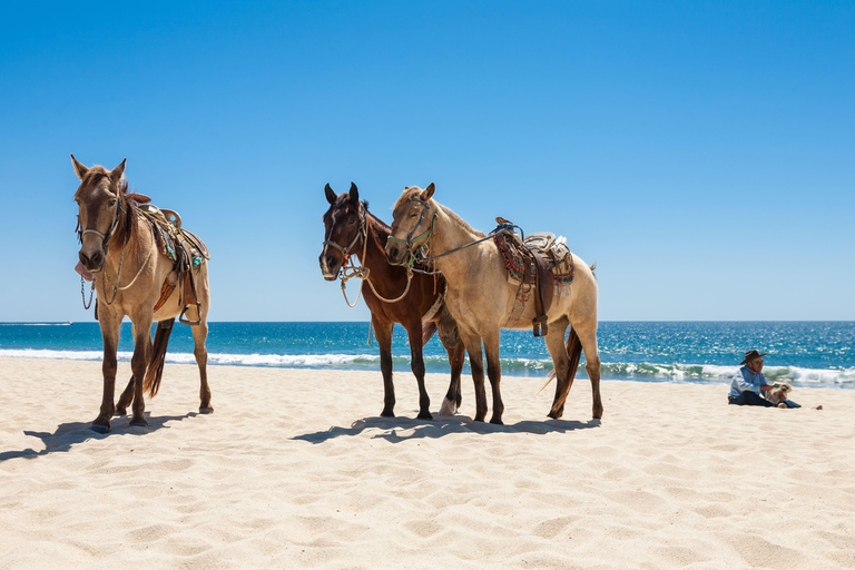 Mykonos: Coastal Morning Horseback Ride to the Beach Mykonos: Coastal Morning Horseback Ride to Fokos Beach