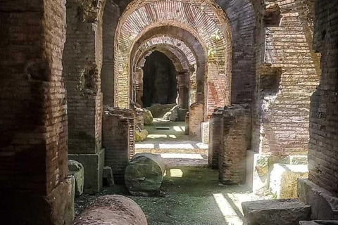 Rome: Colosseum Small Group Underground & Arena Floor Tour