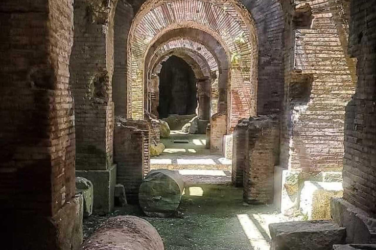 Rome: Colosseum Small Group Underground & Arena Floor Tour