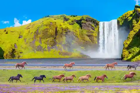 Voyage autour de l'Islande - Circuit de 7 jours autour de l'Islande