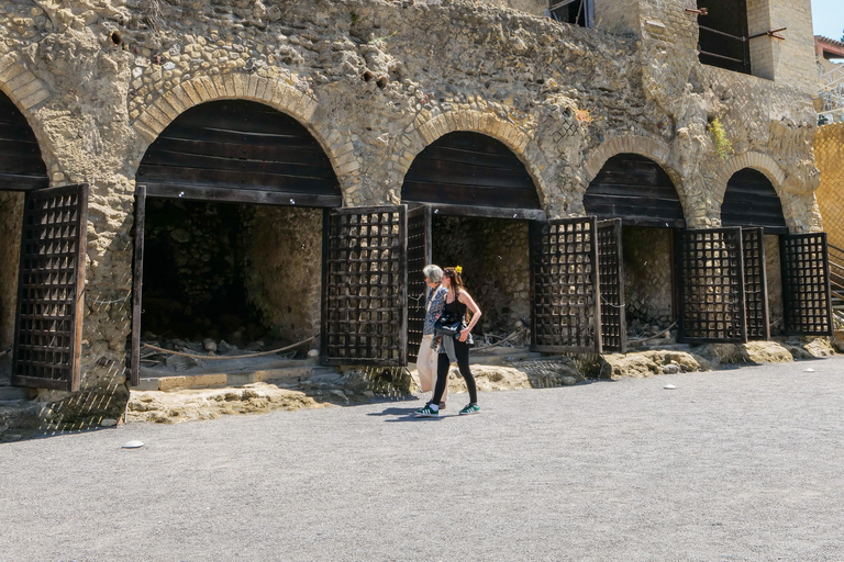 Herculaneum Guided Tour with Fast Train from Rome French language tour