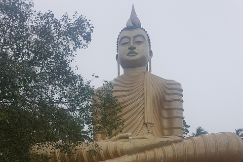 Sri Lankas höjdpunkter: 12-dagars rundtur med tempel, teplantager och naturSri Lankas höjdpunkter: 10-dagars tur med tempel, teplantager och natur