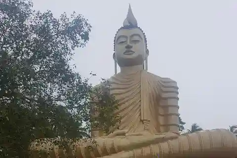 Sri Lanka's highlights: 12-day tour with temples, tea plantations and nature