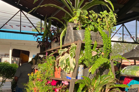 Private Bike Tour Waterfall, Views & Local Life