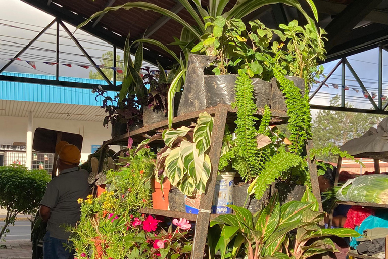 Private Bike Tour Waterfall, Views & Local Life