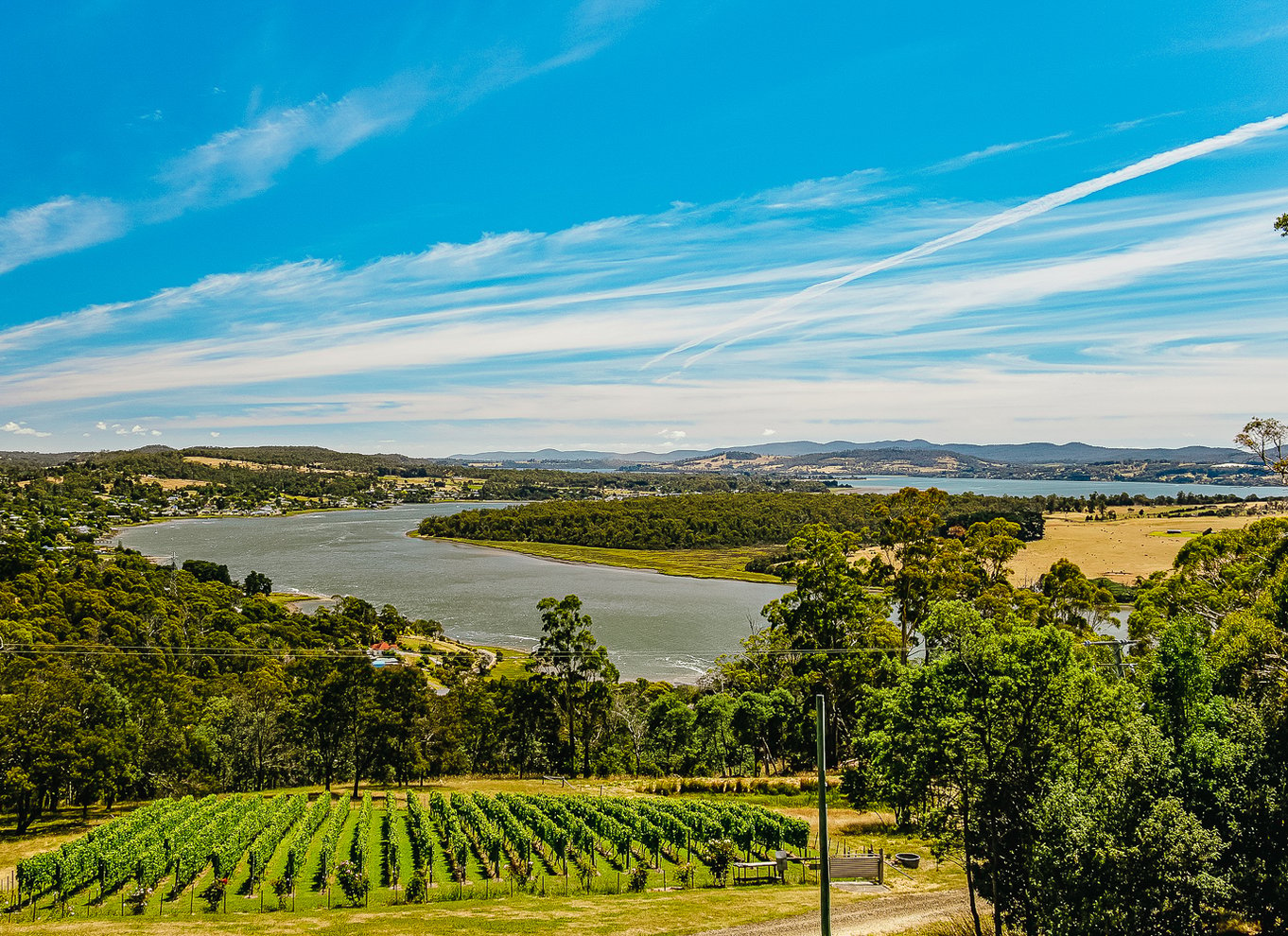 Launceston: Vintur i Tamar Valley med frokost