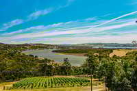 Launceston, Tamar Valley Wine Tour with Lunch - Housity