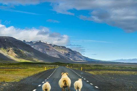 Viaje por Islandia - Ruta circular de 7 días por IslandiaCon Extras Opcionales