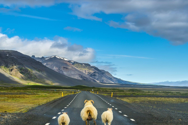 Voyage autour de l&#039;Islande - Circuit de 7 jours autour de l&#039;IslandeSans options supplémentaires