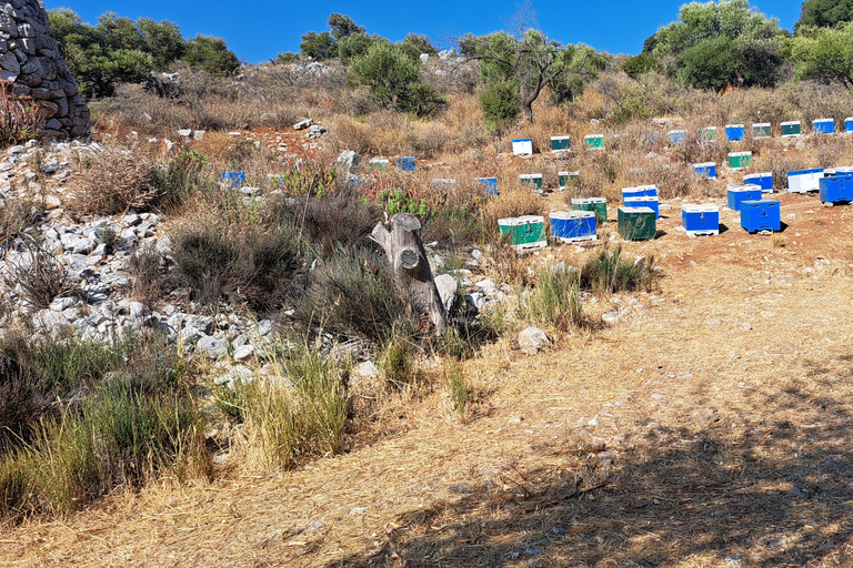 2 Days Tour in Crete - Knossos Zeus Cave Rethymno & Chania Highlights of Crete-Tour to Knossos Lasithi Rethymno&Chania