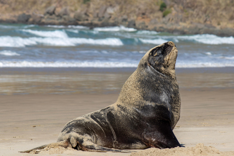 Queenstown: Southern Highlights – 3 Days &amp; 2 Nights