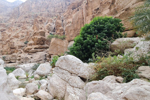 Da Muscat: Avventura a Wadi Shab, Sinkhole e Spiaggia delle Pinne