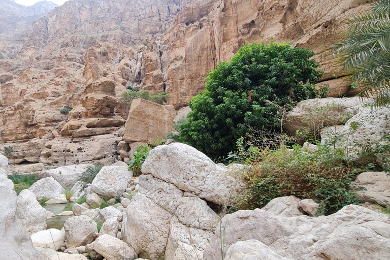 Da Muscat: Avventura a Wadi Shab, Sinkhole e Spiaggia delle Pinne