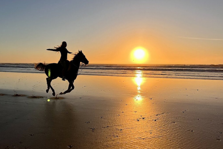 Kendwa: Jungle and Village Sunset Horse Ride From Nungwi: 2 plus pax