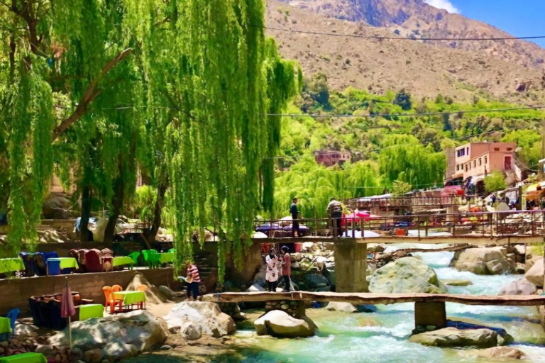 Marrakech ourika Valley Waterfall & lunch