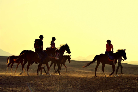 Hurghada : Excursion à cheval dans la mer et le désert, observation des étoiles, dîner et spectacleGroupe privé : Promenade à cheval d'une heure