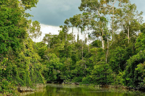 Kinabatangan River Trip from Sandakan with Lunch Included (Shared Tour) Kinabatangan River Trip Sandakan with Lunch
