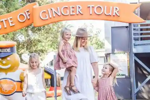 Ginger Factory and Nutworks Return Bus Transfer