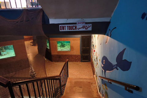 Hurghada: Hurghada City Tour with optional Red Sea Aquarium Group Hurghada City Tour