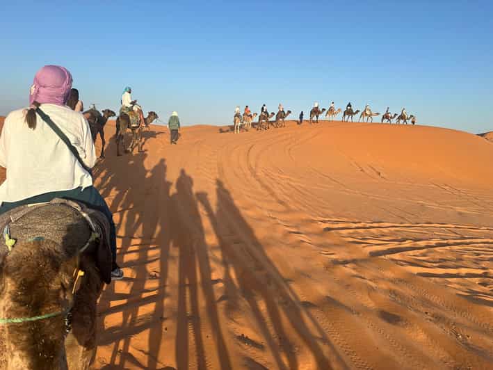 Circuit de 4 jours dans le désert du Sahara, de Marrakech aux dunes de Merzouga - dromadaire