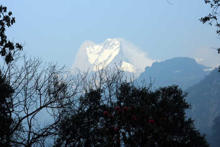 Annapurna Base Camp 7-Day Trek