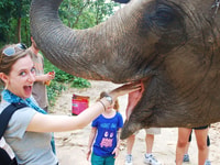 Phnom Tamao Wildlife Center, visite de la journée de Bouddha Kiri Cambodge - Hizvo