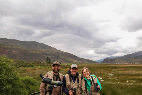 Cusco: Huacarpay Wetlands Birdwatching Tour with Guide