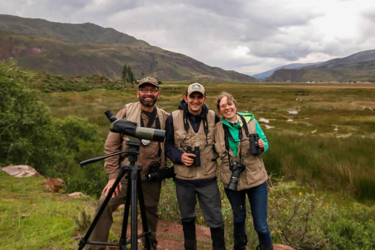 Cusco: Huacarpay Wetlands Birdwatching Tour with Guide