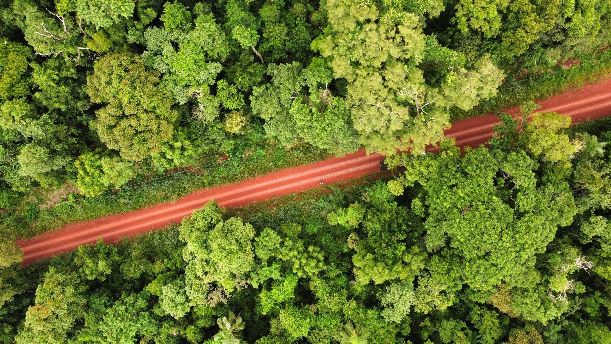 Geführtes Ganztagesabenteuer im Dschungel von Misiones