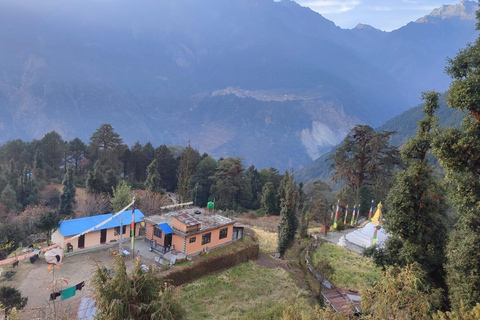 Kathmandu: 3-Day Helambu Ama Yangri Trek with Guide