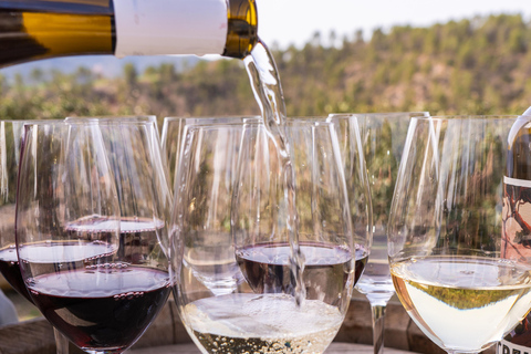 Barcelona: Montserrat, Winery Tour & Lunch with Wine Tasting