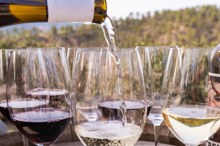 Barcelona: Montserrat, Winery Tour & Lunch with Wine Tasting