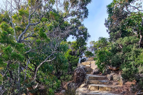 Hobart: Cape Hauy Hike an Active Adventure