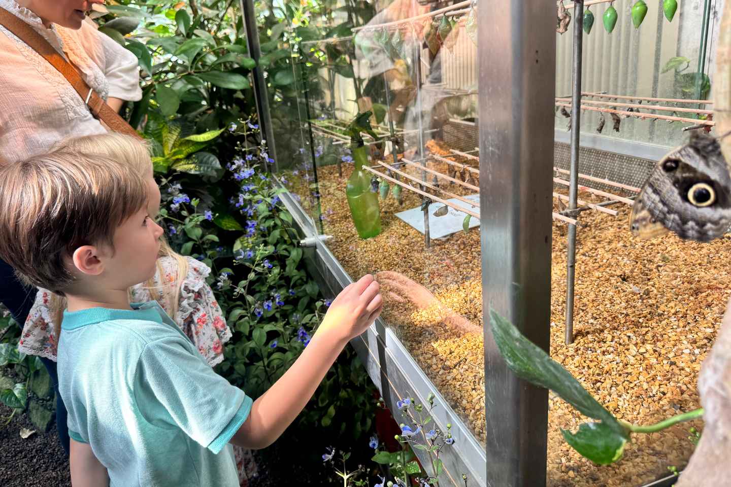 Vienna: Private Family Tour, City Highlights, Museum & Cake