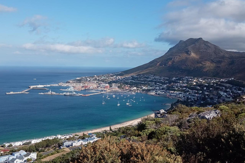 Cape town:Cape of good hope afternoon tour/penguins