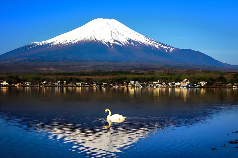 Tokyo: Mt. Fuji & Lake Kawaguchi Small Group Tour - 6 Spots Hotel Pickup Option