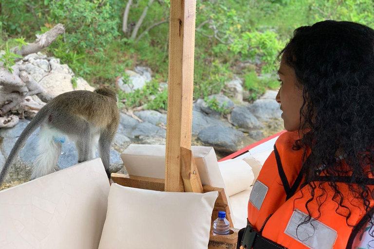 Kigali: Lake Kivu & Nyungwe National Park 2-Day Tour