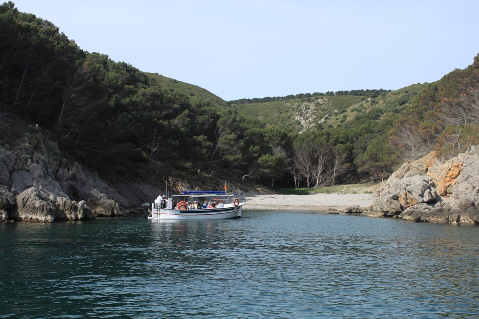 L'Estartit: Boat Trip to the Medes Islands and the NP Caves | GetYourGuide