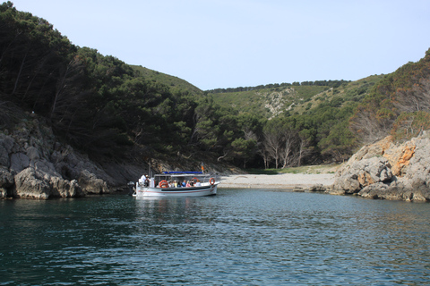 Estartit: Medes Islands Traditional Boat Trip, Caves & Swim