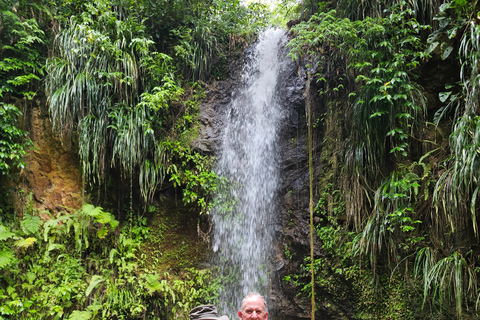 Excursão personalizada à ilha de São Lucian