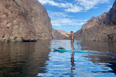 Plage de Willow : Location de paddle board
