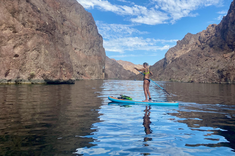 Plage de Willow : Location de paddle board