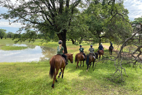 Mpisi Village Horseback Safari: Ride to a Living Community Horseback daytrip with Language Guide
