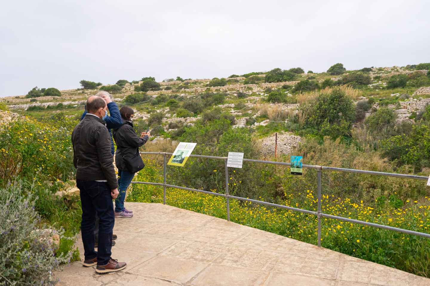 Tour por los Templos Prehistóricos de Malta