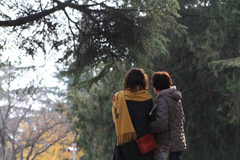 Tbilisi: Mtatsminda — The Hidden Side of the Holy Mountain Small Group - Hidden Side of Mtatsminda