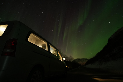 De Tromsø: Excursão à aurora boreal com bebidas quentes e fotos