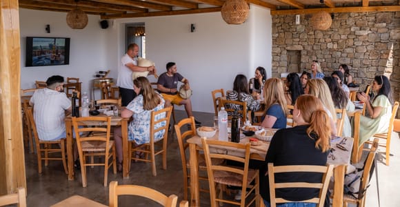 Mykonos: Winery & Vineyard Wine Tasting with Mykonian Food